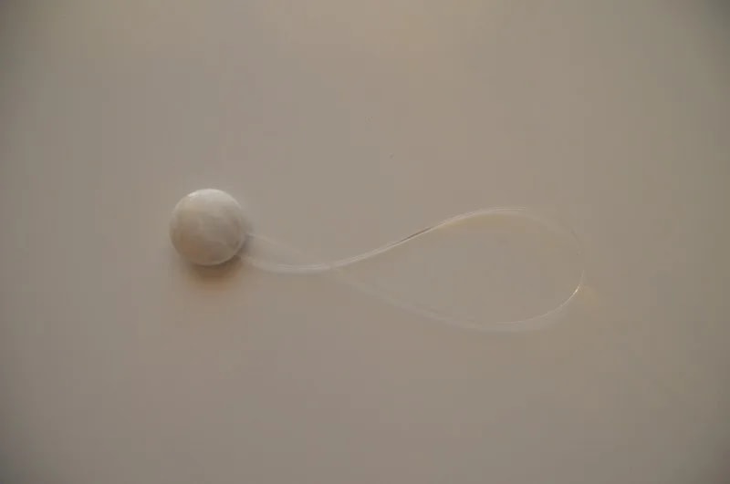 Magnetukas marmurinis